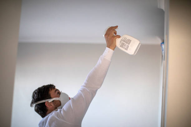 Best Fast Mold Removal  in Big Rock, IL