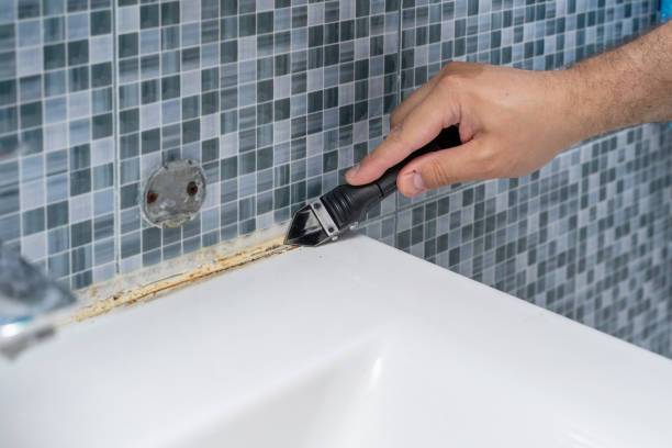 Best Mold Removal Process  in Big Rock, IL