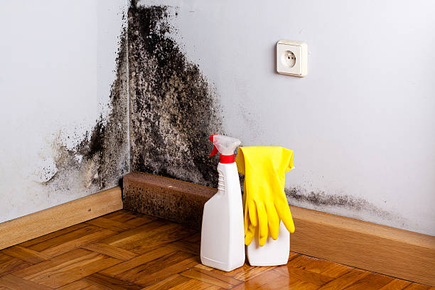 Water Damage Restoration in Big Rock, IL